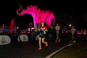 BIB: 
                            <button type="button" onclick="openModal(26534900)" class="btn btn-primary btn-sm float-right btn-popup" data-toggle="modal" data-target=".modal-high-quality">
                        <i class="fas fa-shopping-cart"></i> Add to Cart
                    </button>
                                            <button type="button" onclick="isThisMe(26534900, true)" class="btn btn-success btn-sm float-right btn-popup btn-isme hidden" data-toggle="tooltip" data-placement="bottom" title="นี่คือรูปของคุณใช่ไหม คลิกที่นี่เพื่อเอาเข้าอัลบั้ม">
                        <i class="fas fa-plus"></i> Add to album
                    </button>
                    <button type="button" onclick="isThisMe(26534900, false)" class="btn btn-warning btn-sm float-right btn-popup btn-isnotme hidden">
                        <i class="fas fa-ban"></i> Remove from album
                    </button>